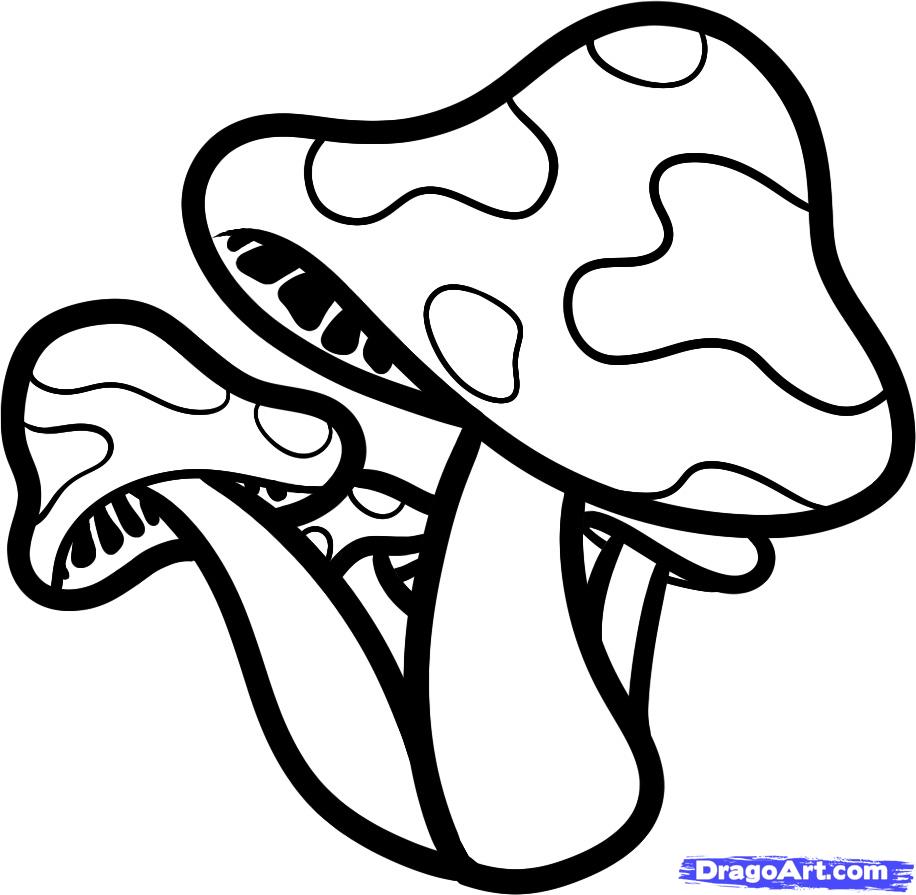916x895 How To Draw Shrooms, Shrooms, Step - Cartoon Mushroom Drawing