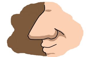 300x200 How To Draw A Cartoon Nose - Cartoon Nose Drawing