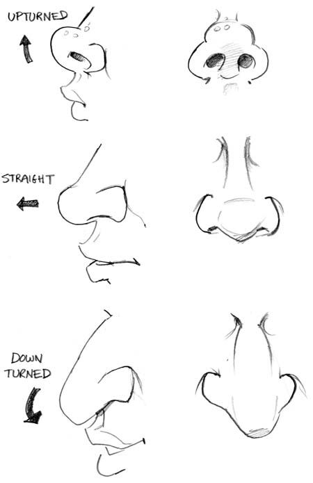 450x695 Drawing A Nose Frm Bd I Love This Art Basic Art Drawing - Cartoon Nose Drawing