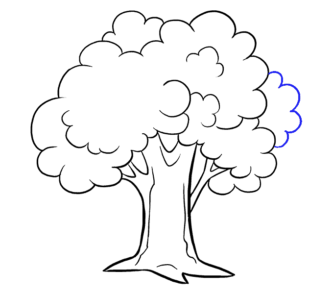 678x600 How To Draw A Cartoon Tree Easy Step - Cartoon Of Drawing