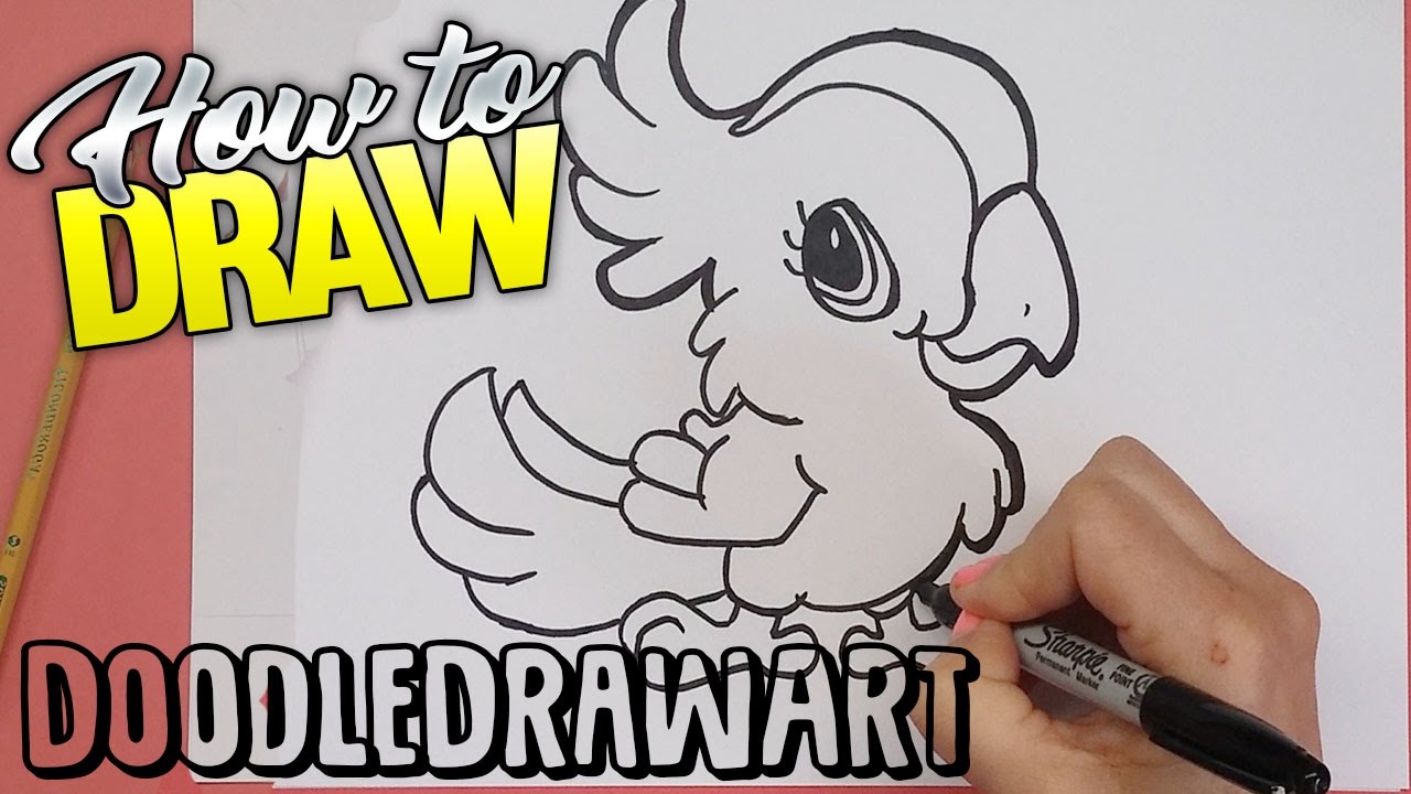 1280x720 How To Draw A Cute Cartoon Baby Parrot Step - Cartoon Parrot Drawing