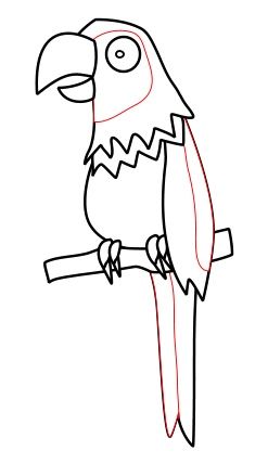247x428 drawing a cartoon parrot doodling drawings parrot, drawings - Cartoon Parrot Drawing