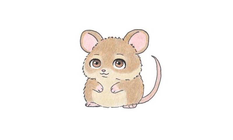 800x480 How To Draw A Cartoon Mouse - Cartoon Pictures Drawing