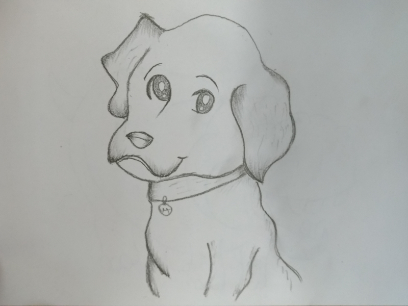 800x600 Cartoon Dog Puppy Drawing - Cartoon Puppy Drawing