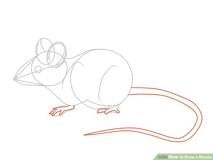 728x546 Ways To Draw A Mouse - Cartoon Rat Drawing