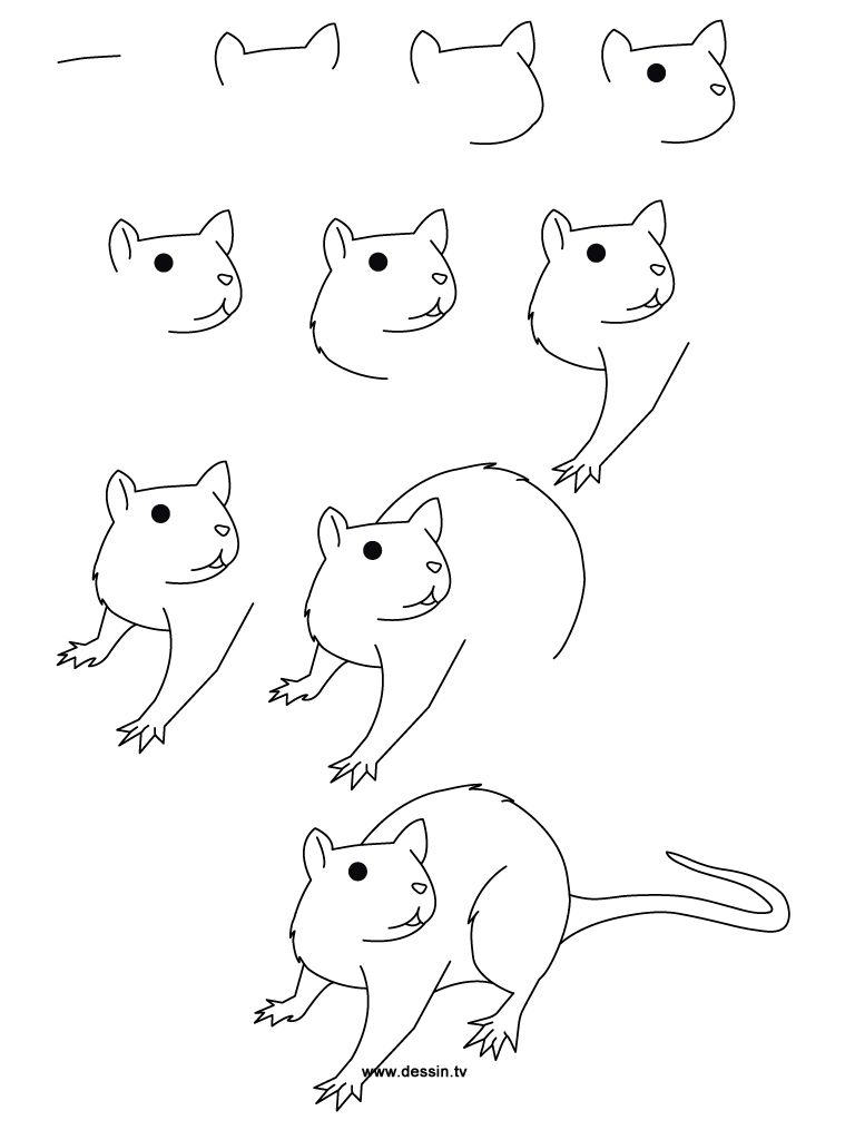 768x1024 Step - Cartoon Rat Drawing