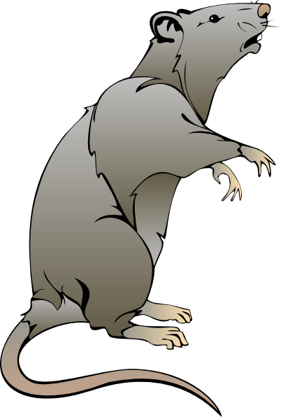 Cartoon Rat Drawing At Explore Collection Of