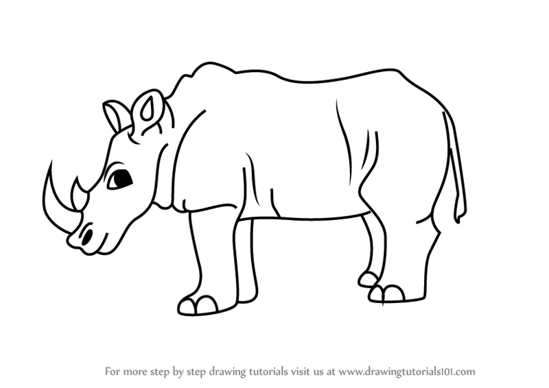 800x566 Learn How To Draw A Cartoon Rhinoceros - Cartoon Rhino Drawing