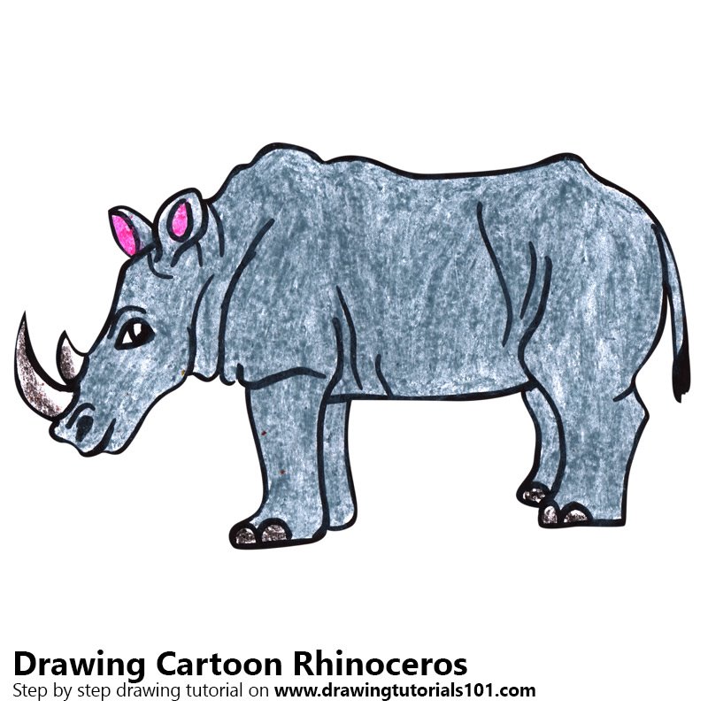 800x800 Cartoon Rhinoceros Colored Pencils - Cartoon Rhino Drawing