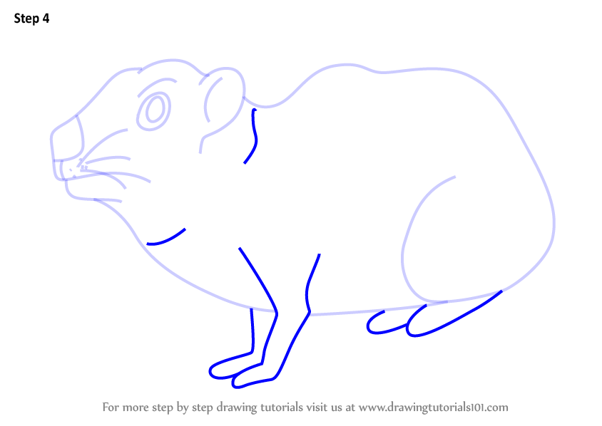 844x598 Learn How To Draw A Cartoon Rock Hyrax - Cartoon Rock Drawing