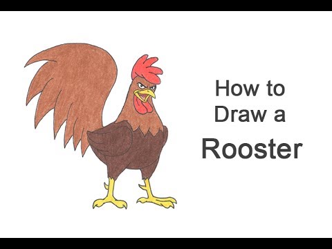 480x360 How To Draw A Rooster - Cartoon Rooster Drawing