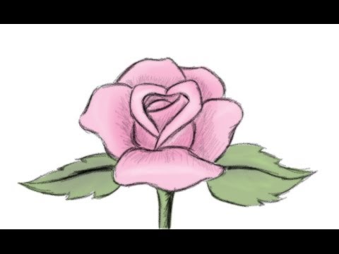 480x360 Drawn Cartoon Rose - Cartoon Rose Drawing