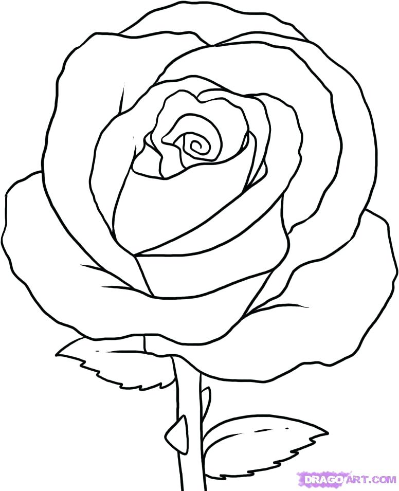 Cartoon Rose Drawing at PaintingValley.com | Explore collection of ...