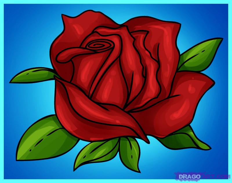 800x632 How To Draw A Cartoon Rose, Step - Cartoon Rose Drawing