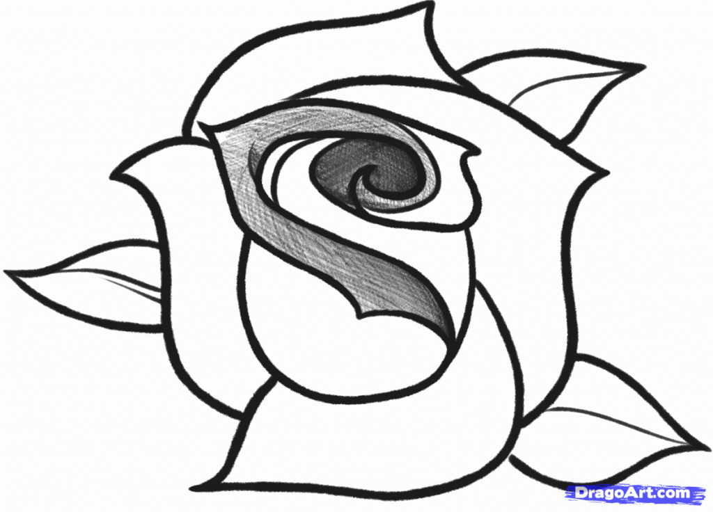 1024x736 Rose Drawing Cartoon For Free Download - Cartoon Rose Drawing