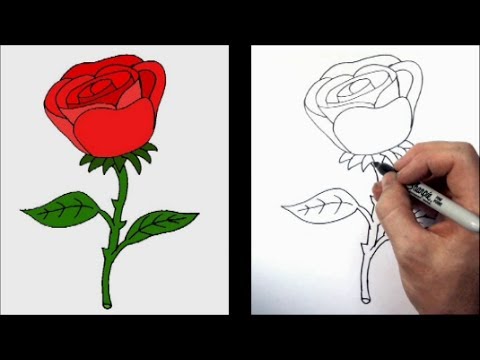 480x360 How To Draw A Cartoon Rose - Cartoon Rose Drawing