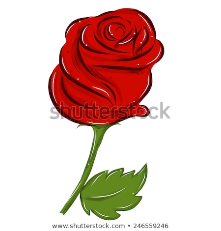 450x470 Photos Cartoon Images Of Roses - Cartoon Rose Drawing