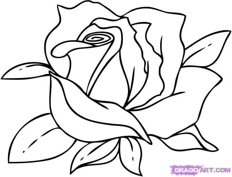 743x567 Step How To Draw A Cartoon Rose - Cartoon Rose Drawing