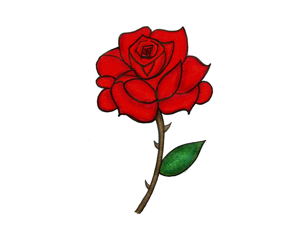 Cartoon Rose Drawing at Explore collection of