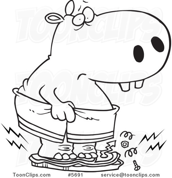 581x600 Cartoon Black And White Line Drawing Of A Heavy Hippo Crushing - Cartoon Scale Drawing