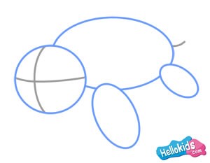 300x233 How To Draw How To Draw A Sea Turtle - Cartoon Sea Turtle Drawing