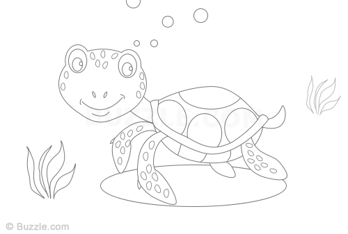 500x337 learn how to draw a sea turtle using these easy instructions - Cartoon Sea Turtle Drawing