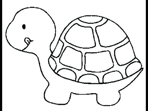 480x360 Sea Turtle Coloring - Cartoon Sea Turtle Drawing