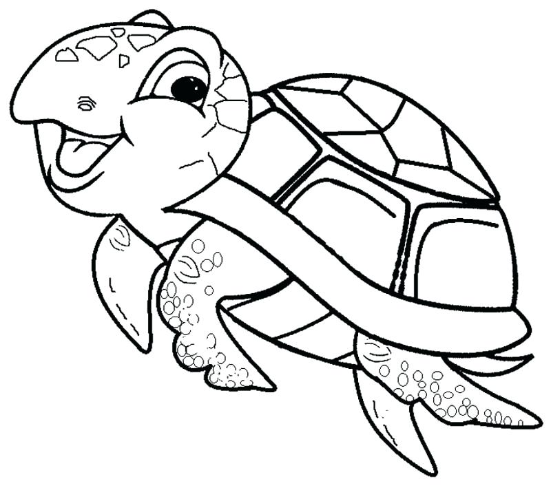 800x712 direct sea turtle pictures to color cartoon drawing at getdrawings - Cartoon Sea Turtle Drawing