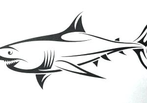 300x210 easy to draw shark shark drawing easy way to draw a cartoon shark - Cartoon Shark Drawing