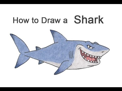 480x360 How To Draw A Shark - Cartoon Shark Drawing