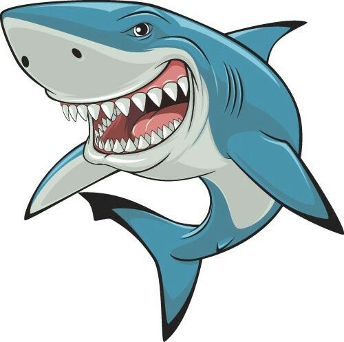 500x497 cartoon shark drawing reference shark art, shark illustration - Cartoon Shark Drawing