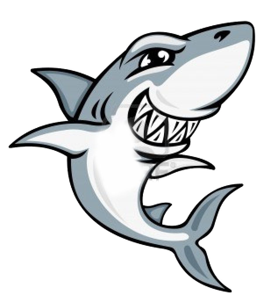 951x1041 Drawing Shark Cartoon Transparent Png Clipart Free Download - Cartoon Shark Drawing
