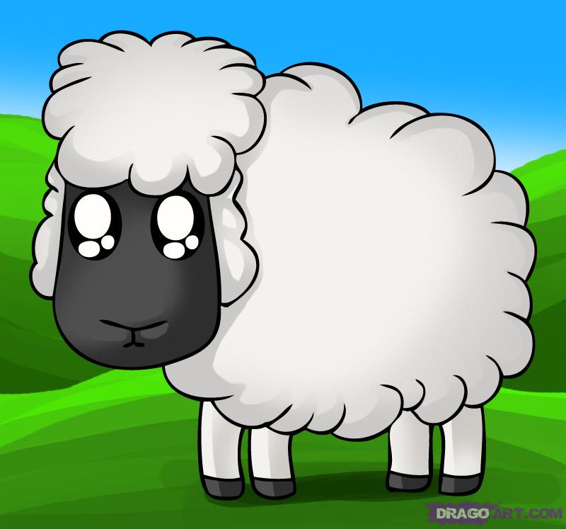 800x747 How To Draw A Cartoon Sheep, Step - Cartoon Sheep Drawing