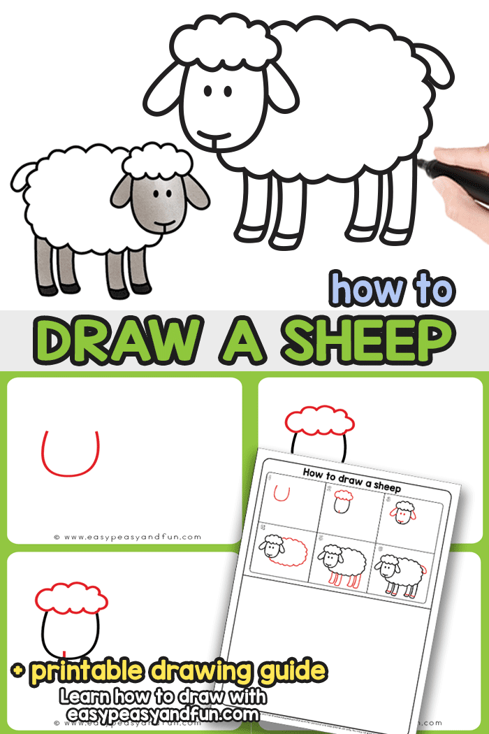 700x1050 How To Draw A Sheep - Cartoon Sheep Drawing
