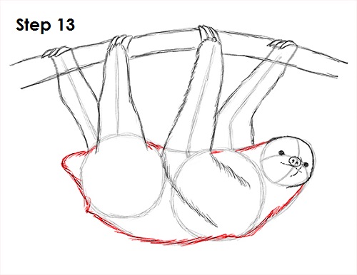 500x386 How To Draw A Sloth - Cartoon Sloth Drawing