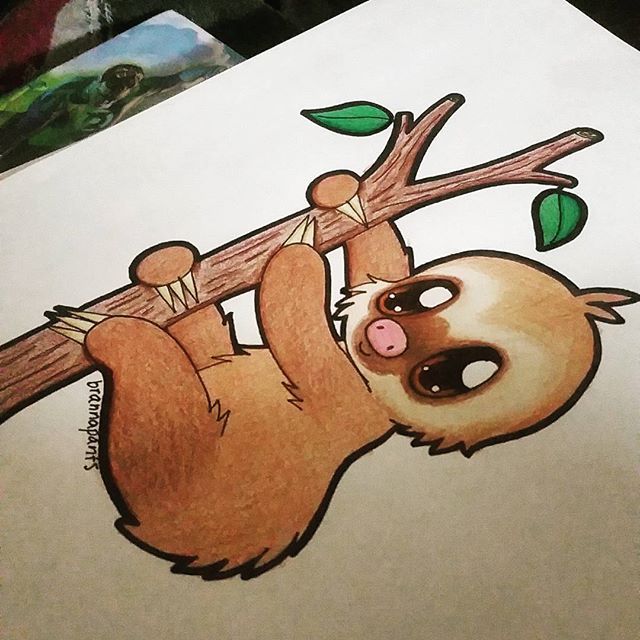 640x640 Image Result For Cute Sloth Drawing For Alie - Cartoon Sloth Drawing