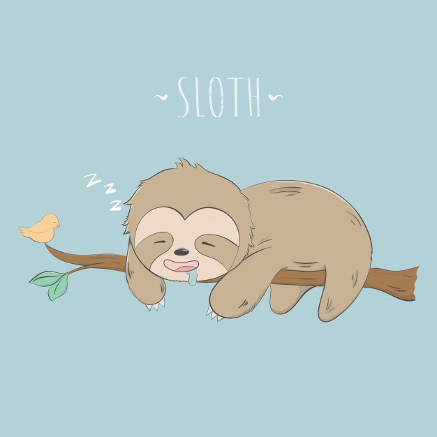 626x626 Sloth Vectors, Photos And Free Download - Cartoon Sloth Drawing