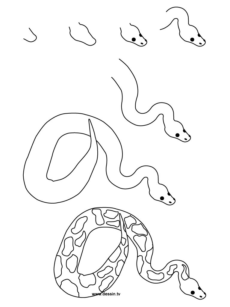 768x1024 Snake Drawing Cartoon And Apple Art Rattlesnake Easy Attack Cute - Cartoon Snake Drawing
