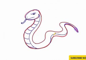 300x210 Snake Drawing Easy Cartoon Snake Drawing At Getdrawings Free - Cartoon Snake Drawing