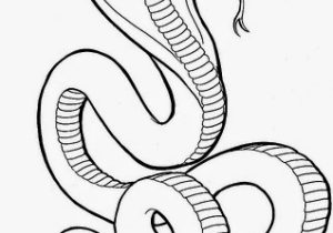 300x210 Drawing A Snake Cartoon Snake Drawing At Getdrawings Free - Cartoon Snake Drawing