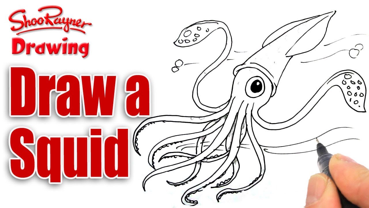 1280x720 How To Draw A Squid - Cartoon Squid Drawing