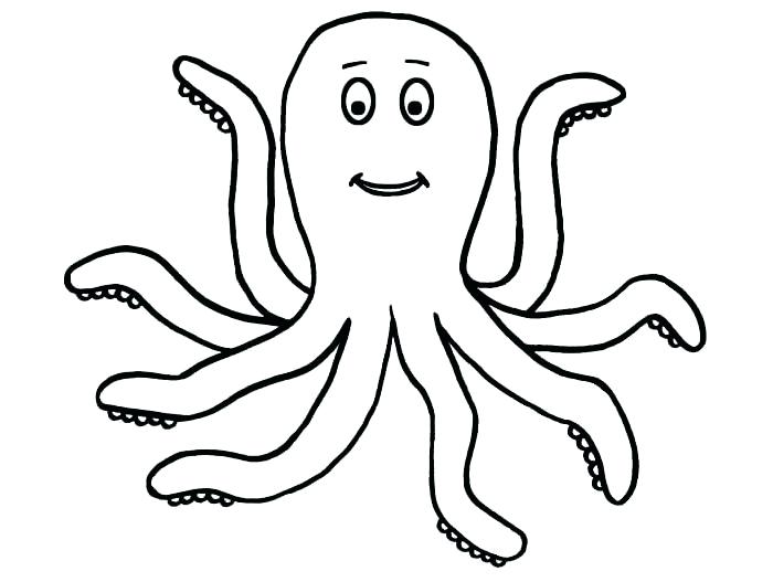 700x527 Coloring Pages For Kids Pdf Teens Cars Cartoon Squid Drawing - Cartoon Squid Drawing