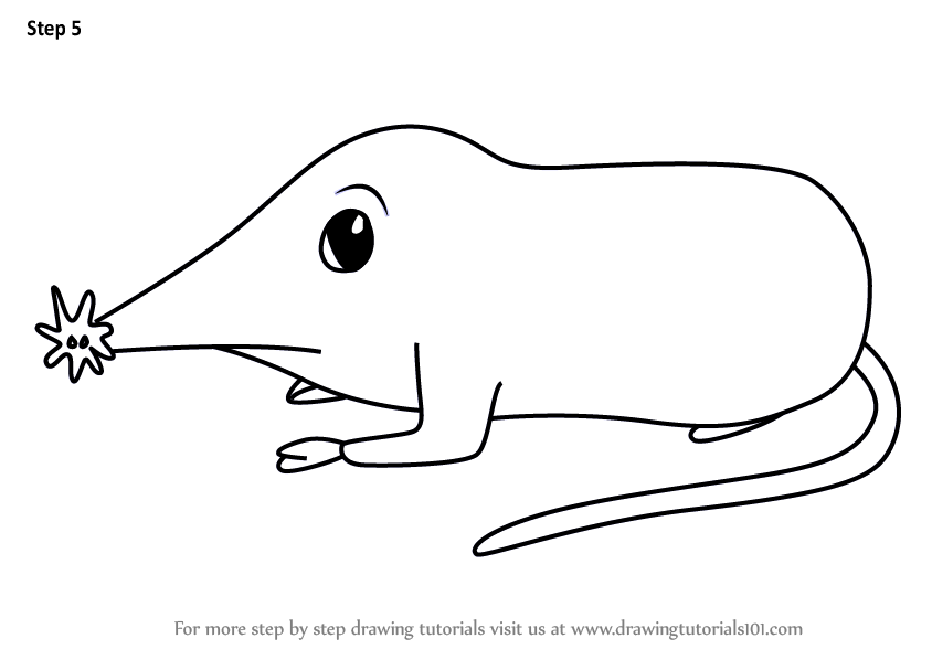 844x598 Learn How To Draw A Cartoon Star Nosed Mole - Cartoon Star Drawing