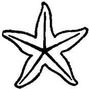 175x176 How To Draw Cartoon Star Fish In Easy Step - Cartoon Starfish Drawing