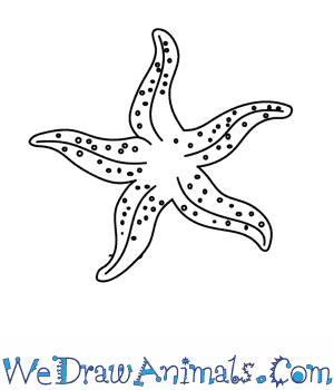300x350 How To Draw A Starfish - Cartoon Starfish Drawing