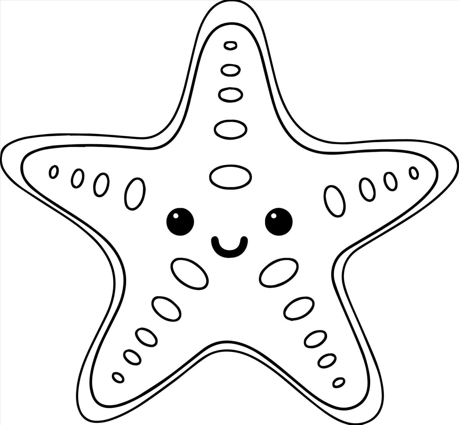 1899x1757 Simple Starfish Outline - Cartoon Starfish Drawing