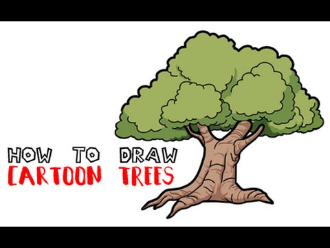 480x360 How To Draw A Cartoon Tree Step - Cartoon Tree Drawing