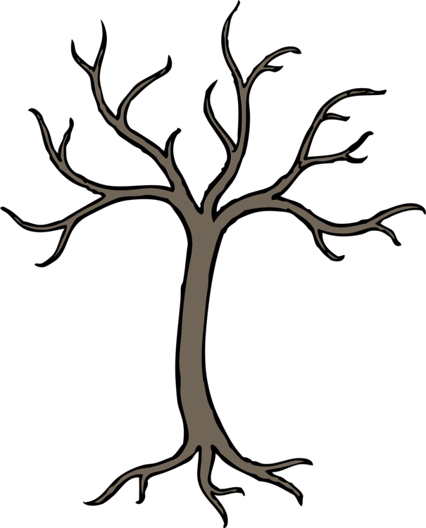 605x750 Tree Cartoon Drawing Oak Branch Cc0 - Cartoon Tree Drawing