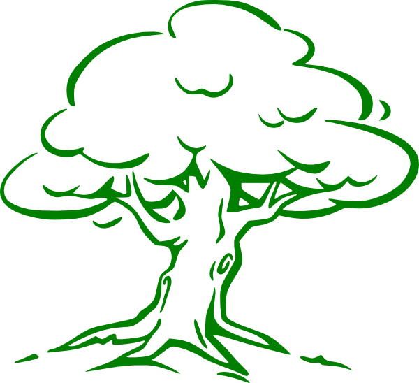 600x548 Cartoon Tree Imges Green Oak Tree Clip Art - Cartoon Tree Drawing