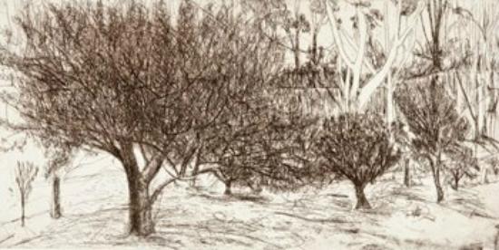 550x276 drawing the orchard - Cascade Drawing